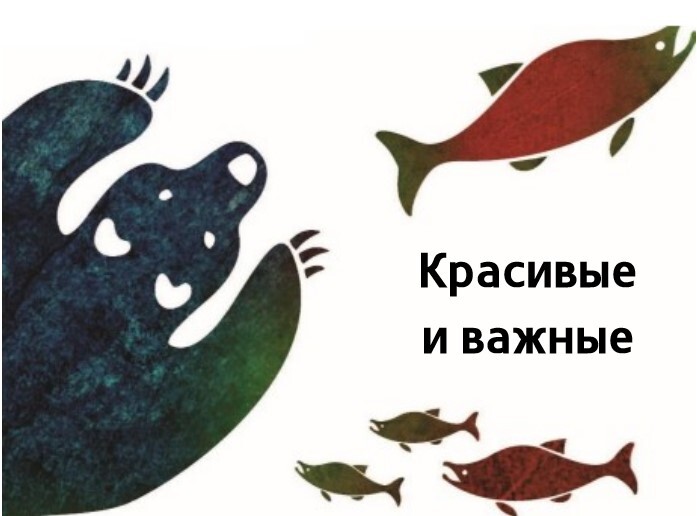 Подведены итоги конкурса «Красивые и важные».